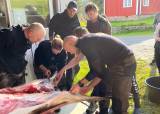 Kurs - Partering av hjortevilt