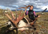 Introjakt Rein i Knutshø villreinsområde med utgangspunkt Oppdal.