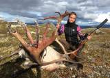 Introjakt Rein i Snøhetta villreinsområde med utgangspunkt Oppdal.
