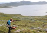 KURS 1 FOR STÅENDE FUGLEHUND MED MATTIAS WESTERLUND