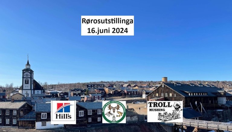 Rørosutstsillinga 2024.jpg