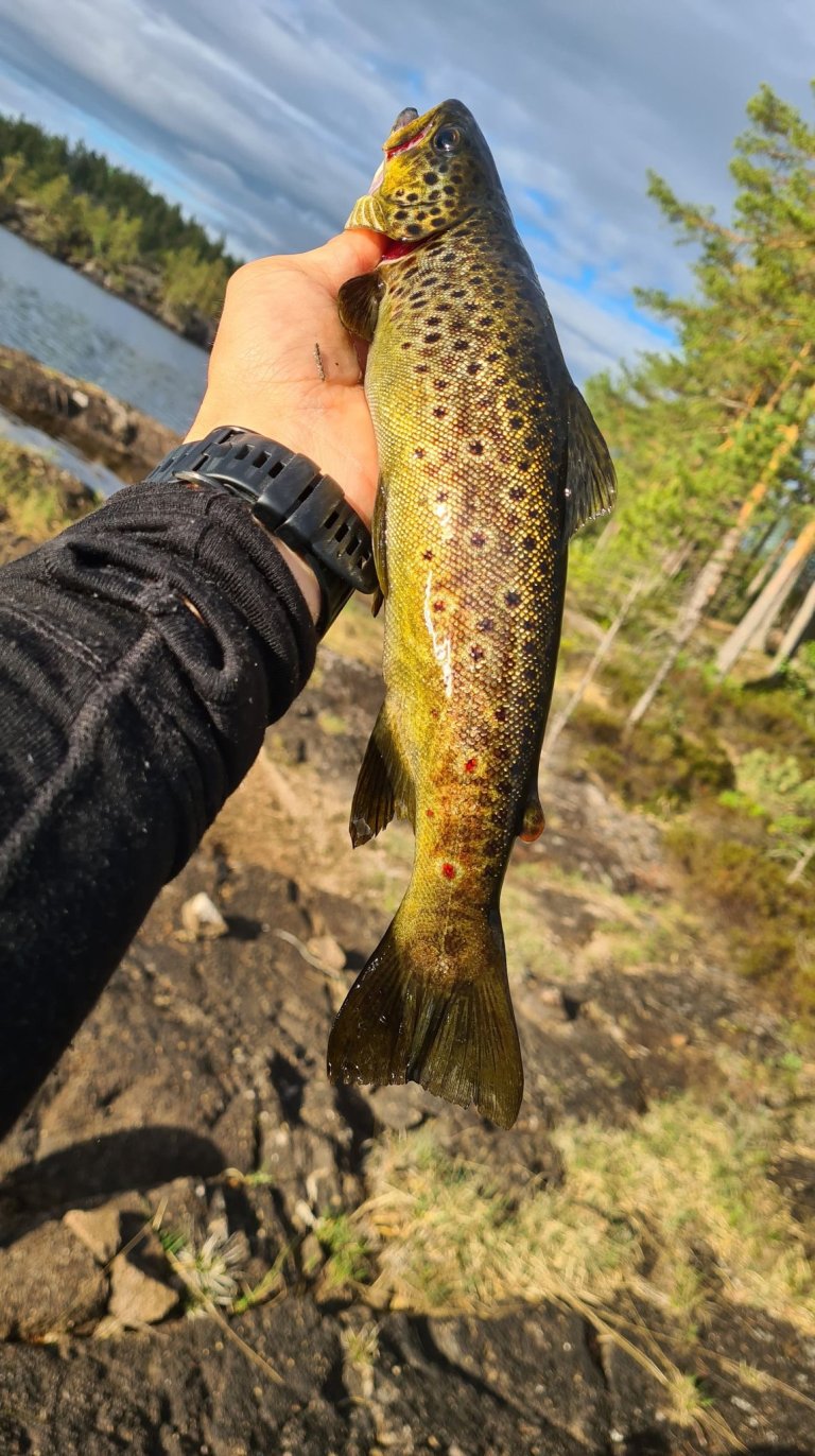 Kortreist mat ligger rett på utsiden av hyttedøra.