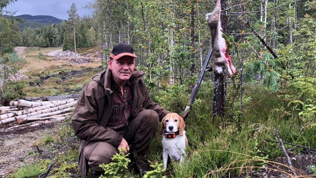 Rådyr / Harejakt med drivende hund - Ungdom