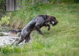 Trening vannapport - 05-06-2025
