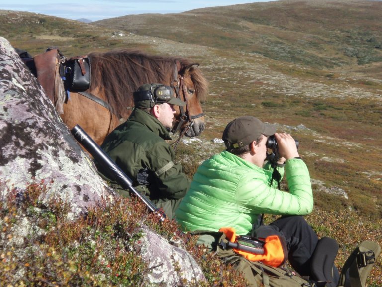 To menn og en hest som sitter og ser etter rein i kikkert på fjellet