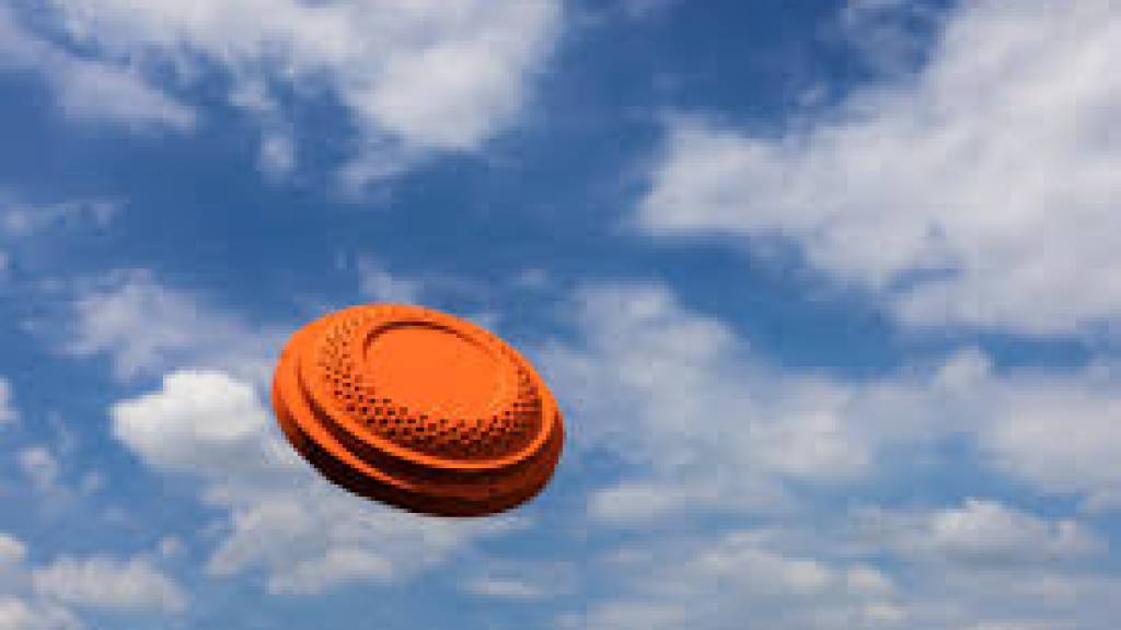 Leirdueskyting - 17-09-2026