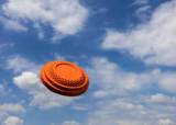 Leirdueskyting - 06-08-2026