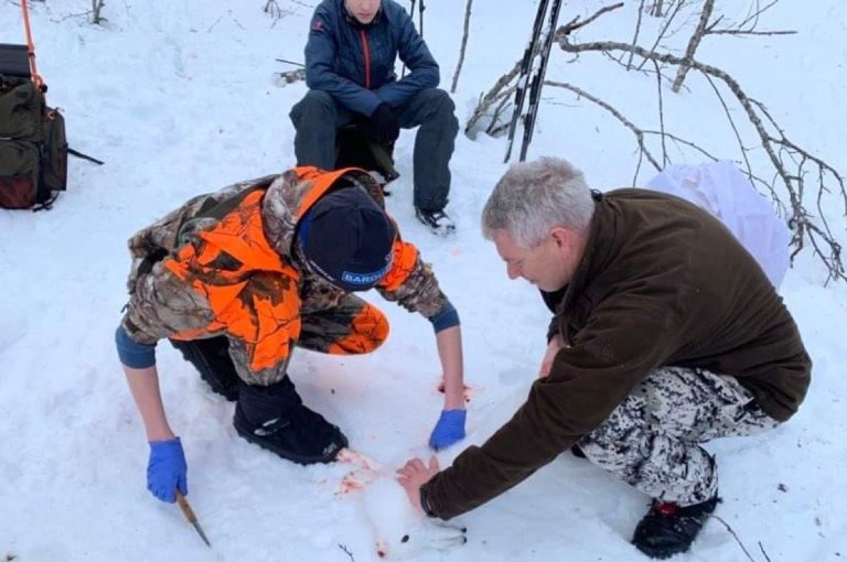 Harejakt ungdomsutvalg - reiing Foto Ivar Omsted (2).jpeg
