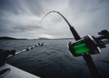 Havfiske fra båt