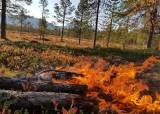 Egenberedskap i naturen