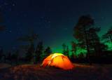 Natt i naturen for barn og ungdom