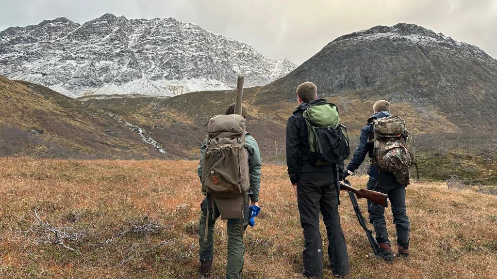 Intro småviltjakt på Arnøya 2026