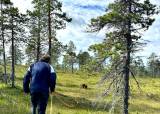 KURS LEGGING BLODSPOR